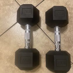20lb Dumbbells 