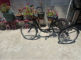 Adult tricycle with basket