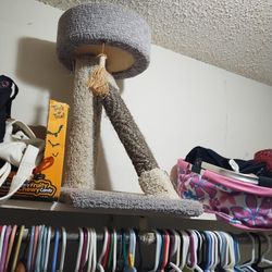 Small Cat Tree