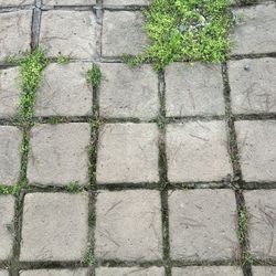 Pavers 