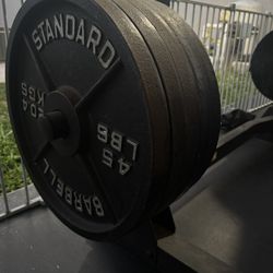 45lb Olympic Iron Plates 