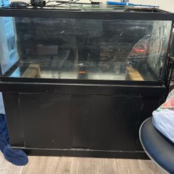 Very Nice Fish Tank Size 4ft By 20 Height And Table 50