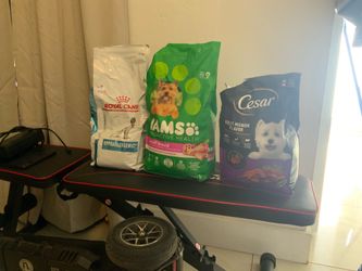 Comida para perros free
