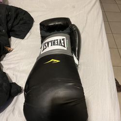Everlast 16oz Boxing Gloves