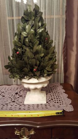 Green plant 18inches tall