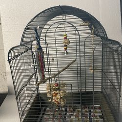 Bird Cage Everything Included (except Bird)