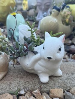 Squirrel Planter 🐿️ 🤍- Succulents Included!! 🪴