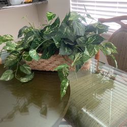 Plantas Artificiales 