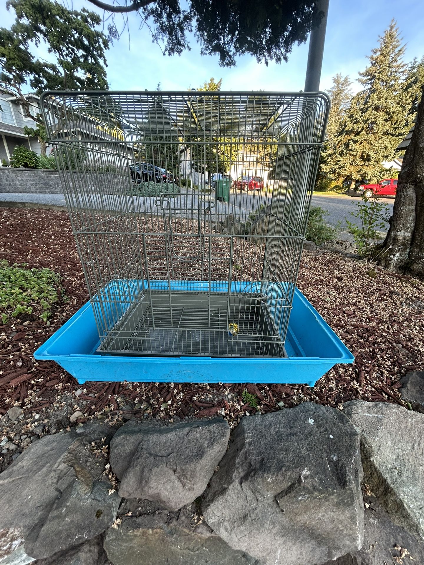 Parakeet/bird cage