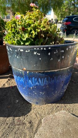 Big bllue pot