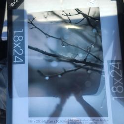 (NEW)  18x24 Poster/picture Frame ×2