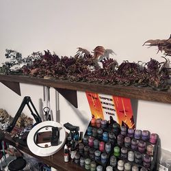 Warhammer 40K Tyranid Army Hive Fleet Kraken