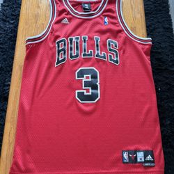 Ben Wallace Chicago Bulls Jersey - Size M