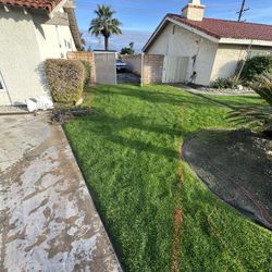 cancrete grass