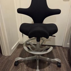 Hag Capisco Office Ergonomic Chair