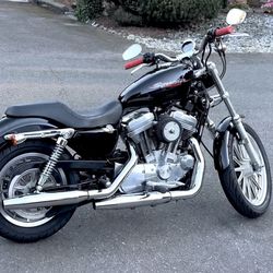 2006 Harley Davidson Sportster 883