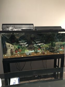 55 gallon with stand