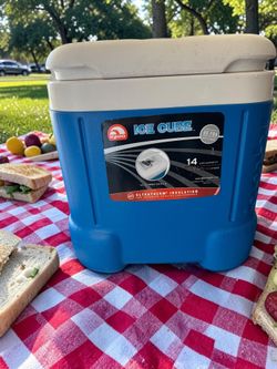 Igloo Ice Cube 12-quart plastic cooler