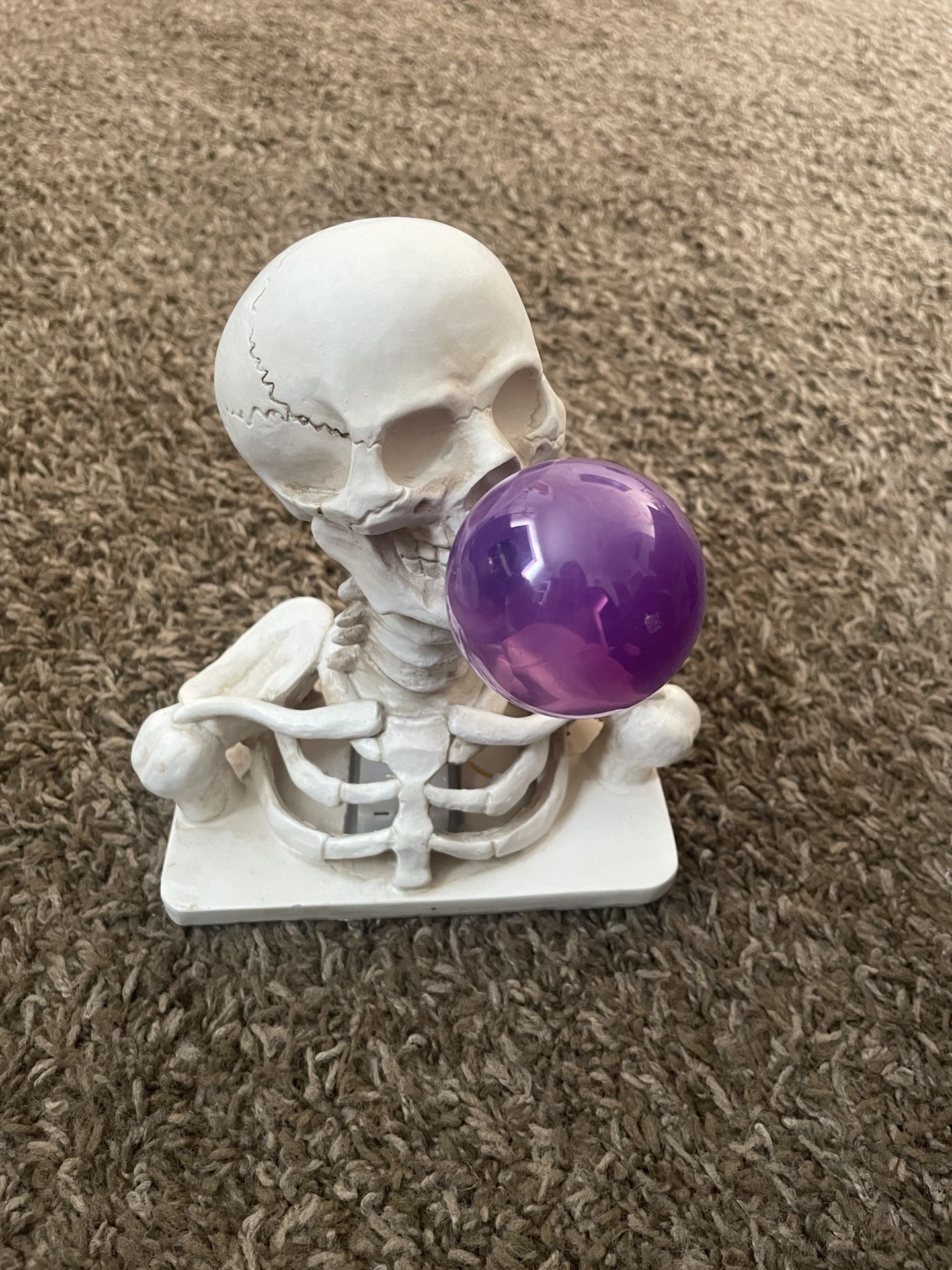 skeleton