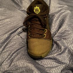 LeBron Nike