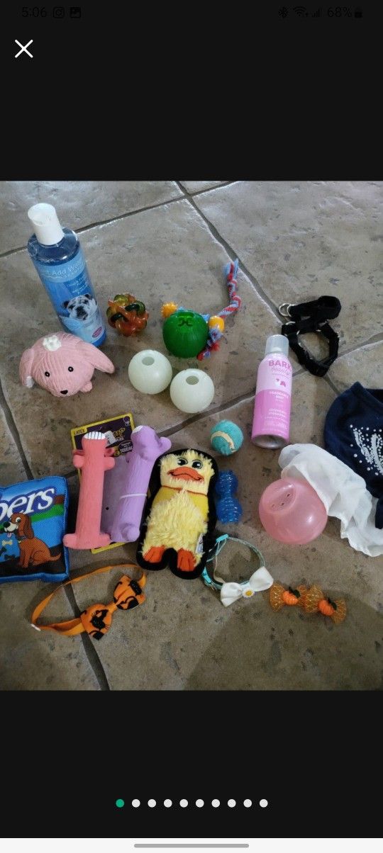 Dog Toys And Supplies