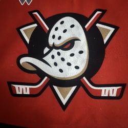 Ducks Vs Florida (2 Tix) $125 Per Ticket