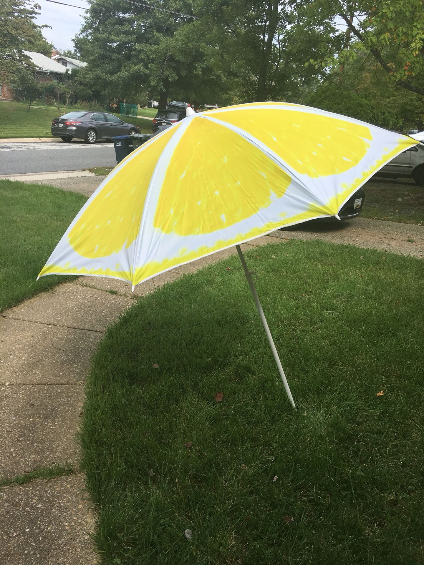 Beach/camping umbrella