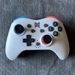 Nintendo Switch Controller