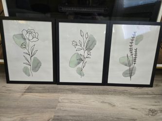 3 botanical prints in black frames