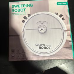 Sweeping Robot