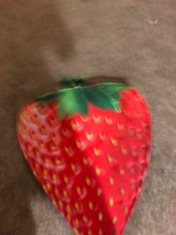 Strawberry Costume One Size Fits Most
