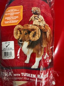 Pet costume $15