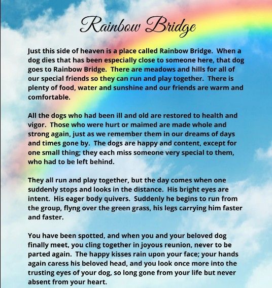 DOONEY BOURKE LADIES PURSES