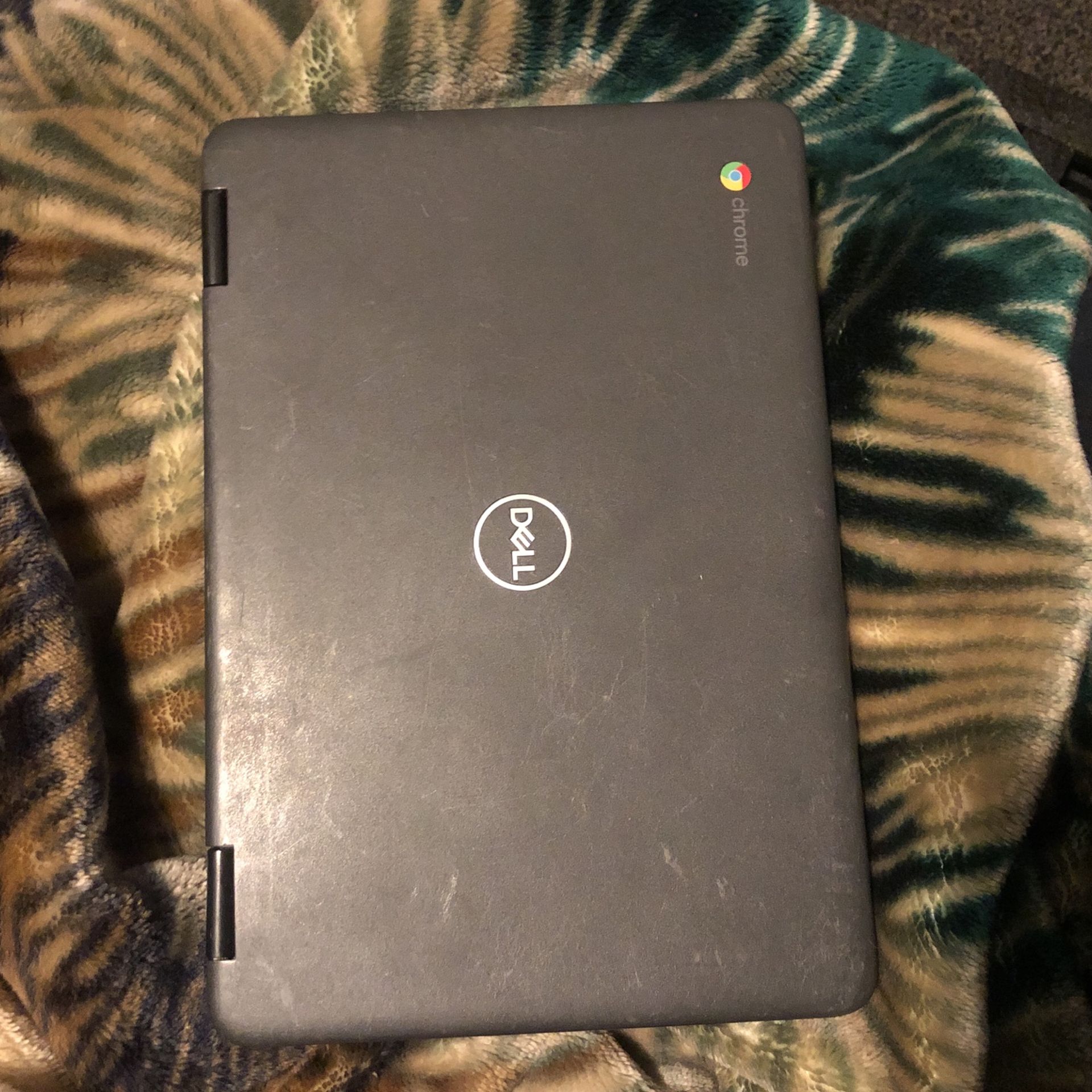 Hp Chrome Laptop