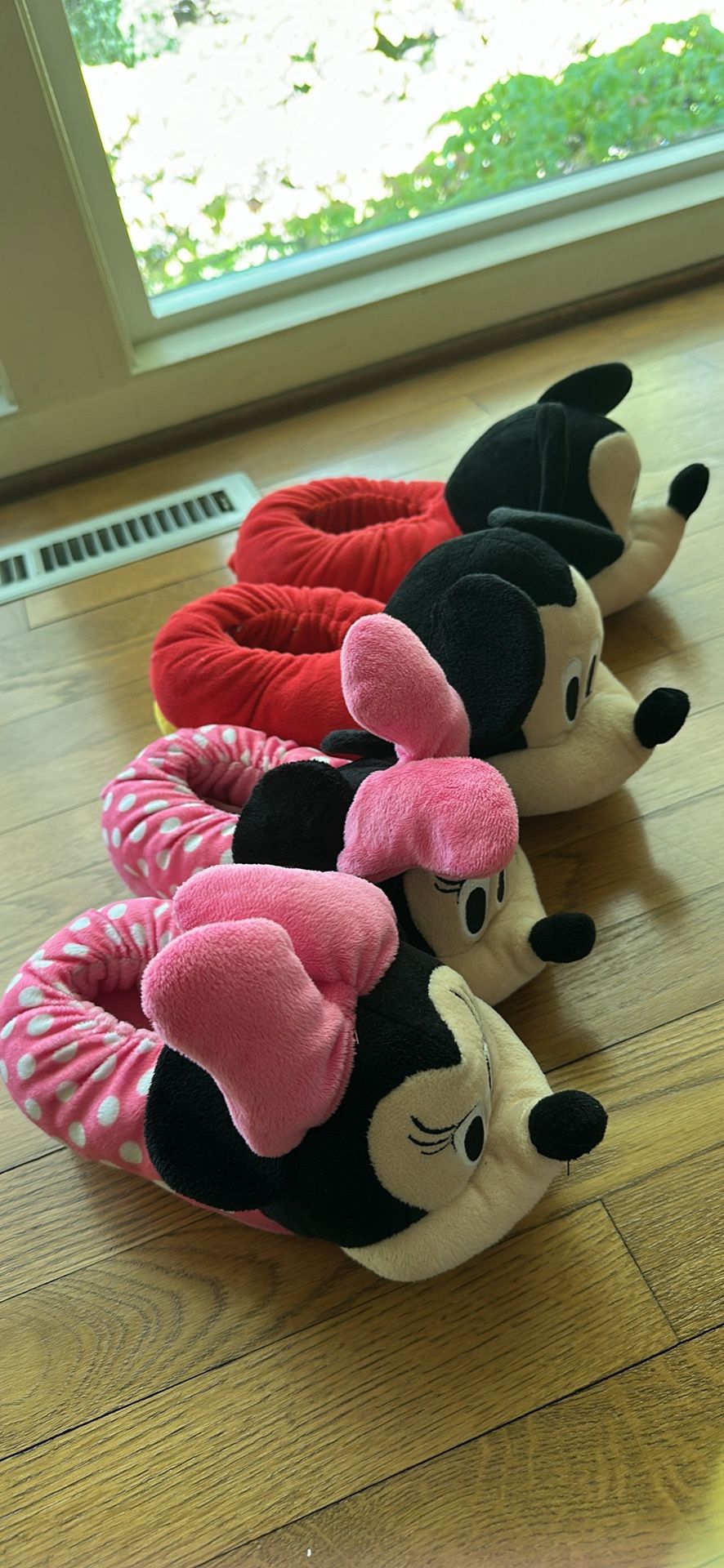 Disney Kids Slippers & Potty Seat
