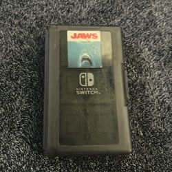 Nintendo Switch To Hold Your Games 