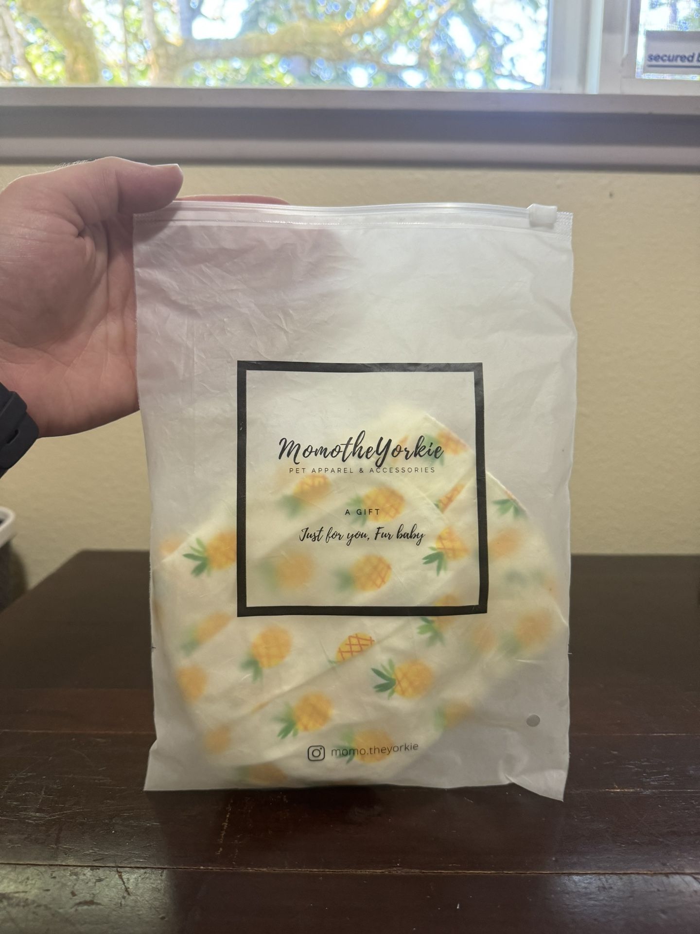 Momo The Yorkie Yellow Pineapple Dog Sundress NWT Small 