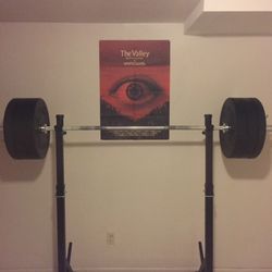 Simple Squat/Bench Rack + Rogue 45lb Barbell + 3 Pairs 45lb Plates + 1 Pair 25lb and 10lb Bumper Plates