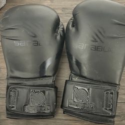Sanabul Gloves 8oz
