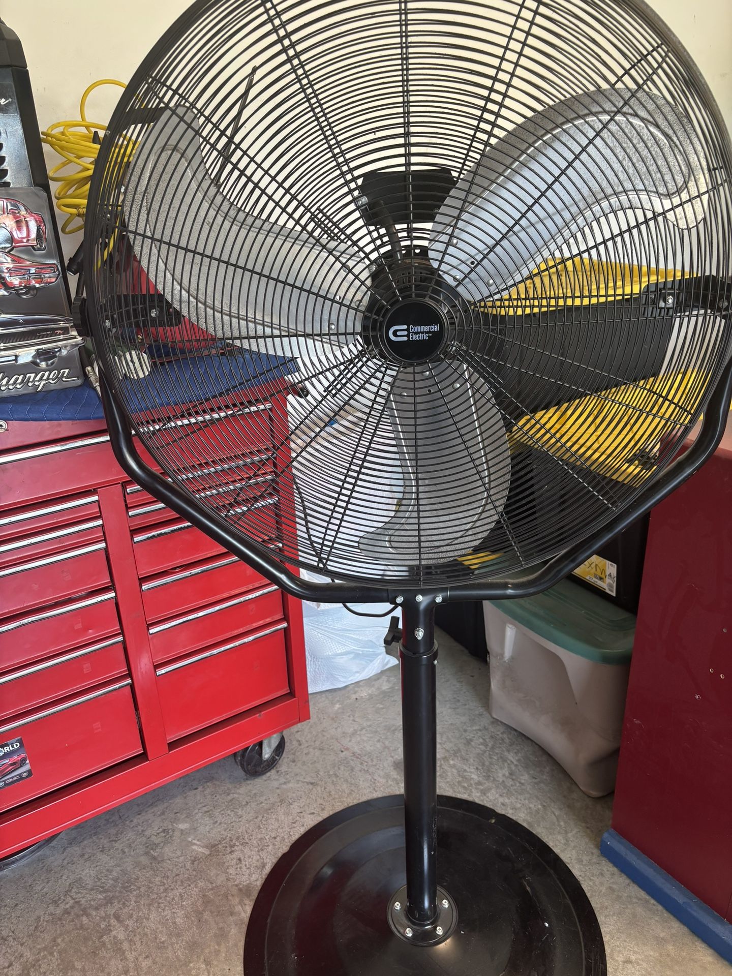 Fan