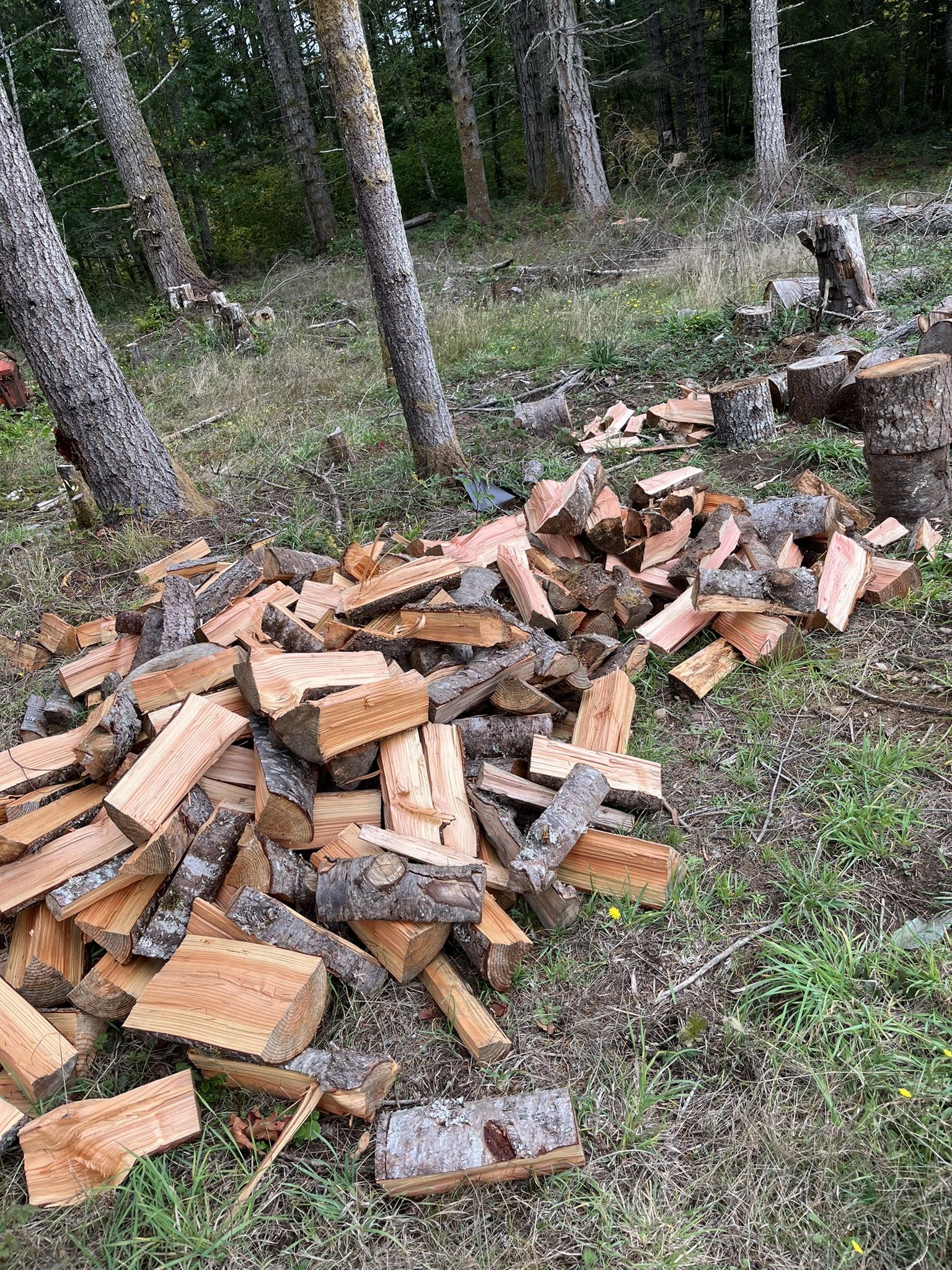 Firewood