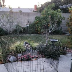 Exercise Dog Pen 