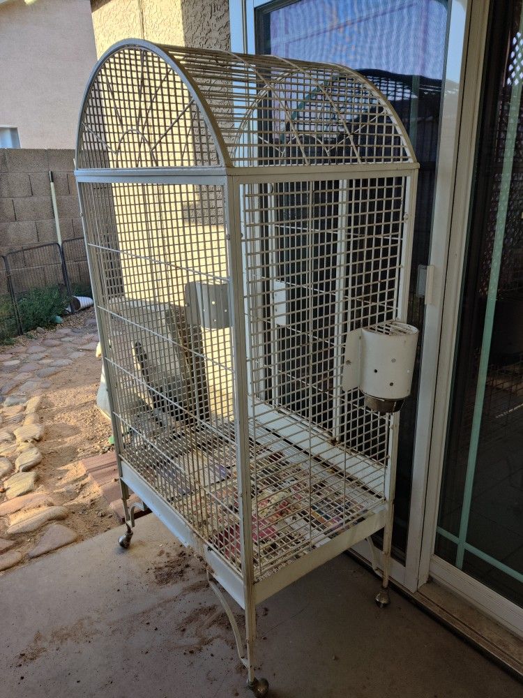 Big Bird Cage