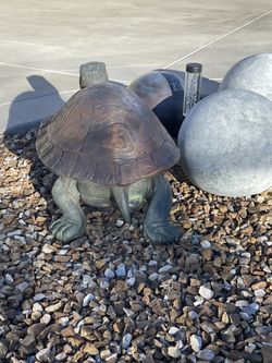 Concrete Turtle