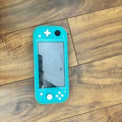 switch lite with case