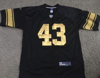 Steelers Jersey, Troy Polamalu for Sale in Bremerton, WA - OfferUp