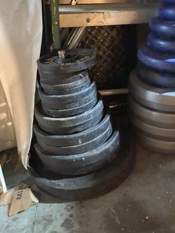 Gym Equipment Weights