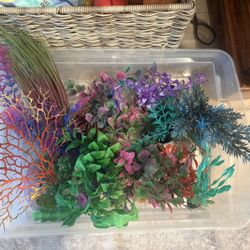 aquarium decor