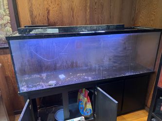 200 gallons fish tank 6’x18”x24”