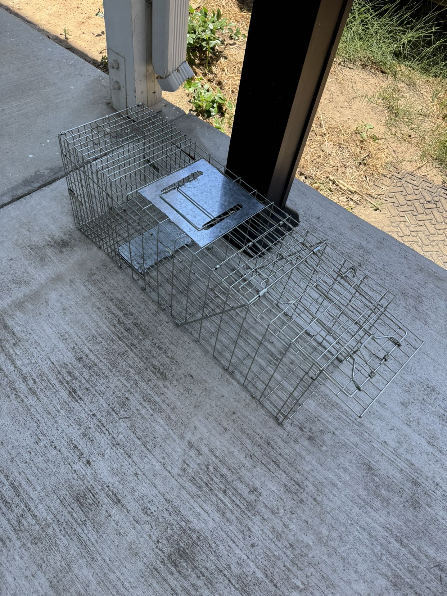 Cat Trap 